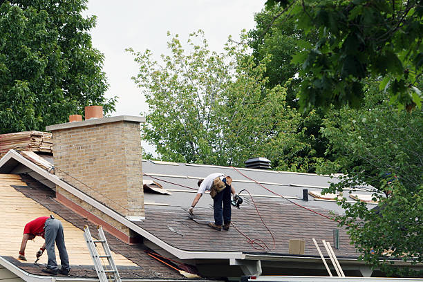 Best Roof Gutter Cleaning  in Mount Ivy, NY